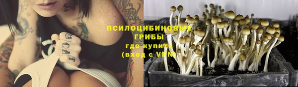 скорость Арсеньев