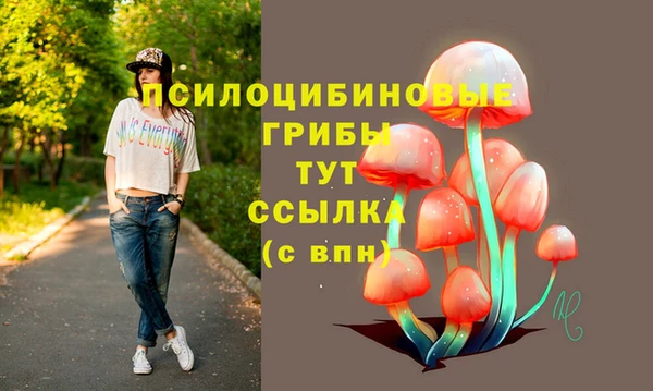 MESCALINE Аркадак